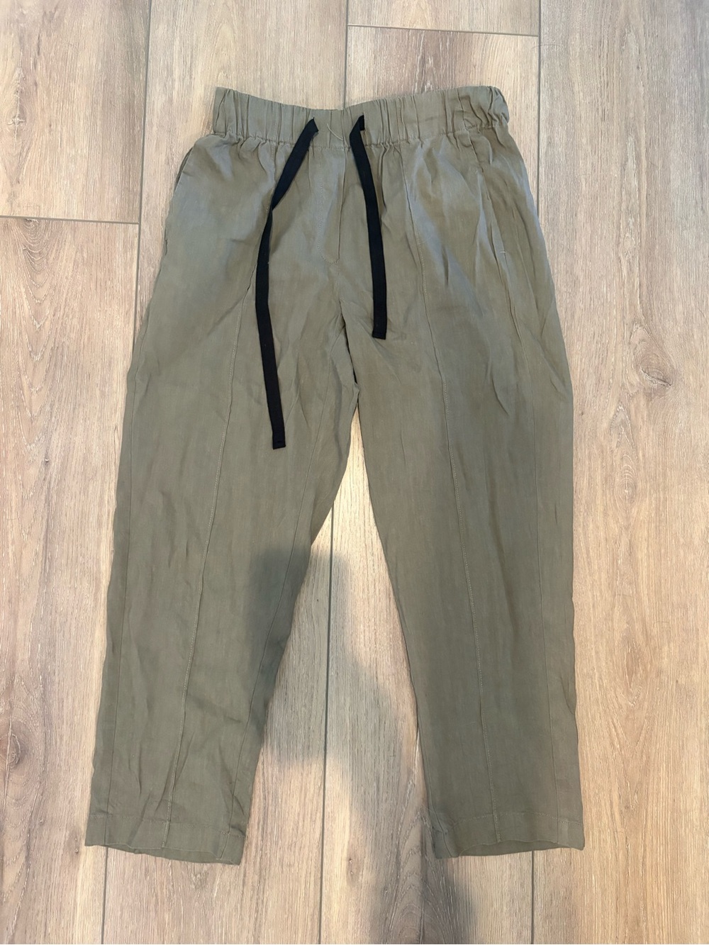 Aritzia Babaton Day Linen Pant